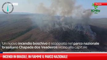 Incendi in Brasile, in fiamme il parco nazionale