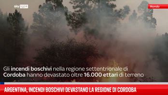 Argentina, incendi boschivi devastano la regione di Cordoba