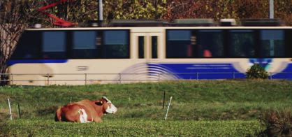 Dal 12 ottobre riparte il Treno del Foliage