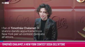 VIDEO Timothée Chalamet, a New York contest per il suo sosia