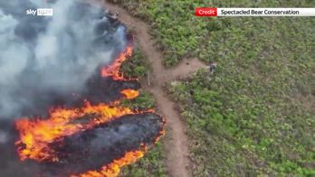 Perù, violenti incendi minacciano gli ecosistemi