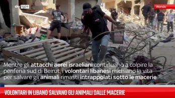 Libanesi salvano animali intrappolati sotto le macerie