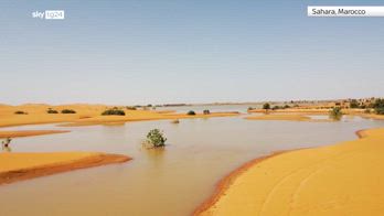 Dopo 50 anni torna la pioggia nel deserto del Sahara