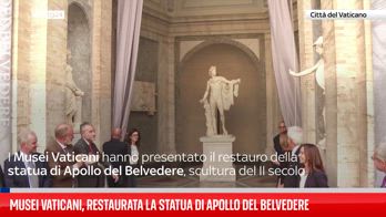 Vaticano, restaurato l'Apollo Belvedere