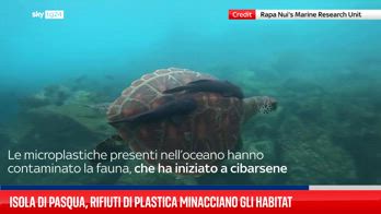 Isola di Pasqua, rifiuti di plastica minacciano gli habitat locali