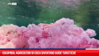 Agricoltori di coca in Colombia diventati guide turistiche