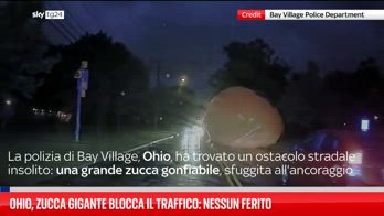 zucca gonfiabile gigante blocca il traffico in USA