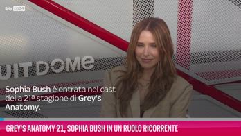 VIDEO Grey's Anatomy 21, Sophia Bush in un ruolo ricorrente