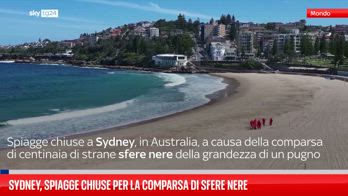 Sydney, spiagge chiuse per la comparsa di sfere nere