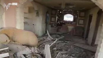 In un video diffuso dall'IDF gli ultimi istanti di Sinwar