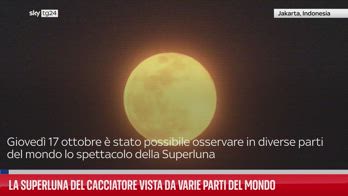 La Superluna del Cacciatore vista da varie parti del mondo