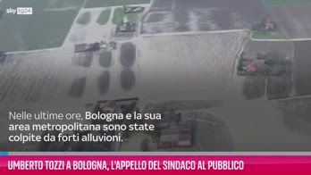 VIDEO Umberto Tozzi a Bologna, l'appello del sindaco