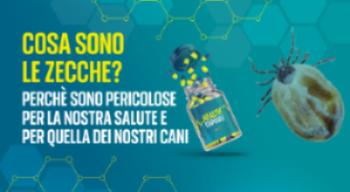 Cosa sono le zecche?