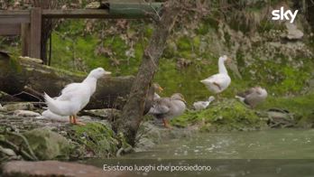 Bruno Barbieri 4 Hotel. Veneto: le colline del Prosecco