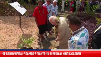 Re Carlo visita le Samoa e pianta un albero al King’s Garden