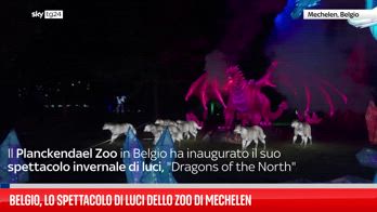 Belgio, lo spettacolo di luci dello zoo di Mechelen