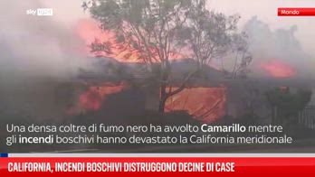 California, incendi boschivi distruggono decine di case