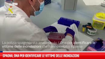 Spagna, test del dna per identificare vittime dell'alluvione