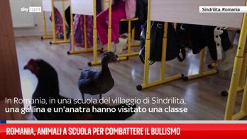 In Romania papere e galline nelle scuole contro il bullismo