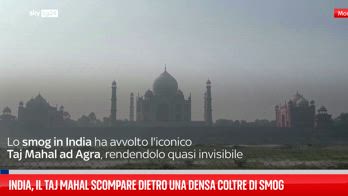 India, il Taj Mahal scompare dietro una densa coltre di smog