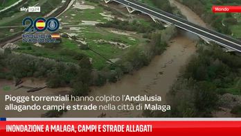 Inondazione a Malaga, campi e strade allagati