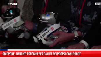 Giappone, abitanti pregano per salute dei propri cani robot