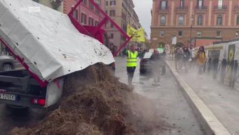 Roma, ambientalisti scaricano letame davanti al Viminale