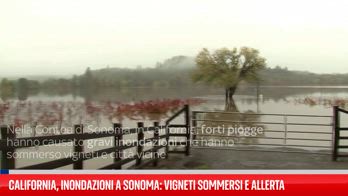 California, inondazioni a Sonoma: vigneti sommersi e allerta