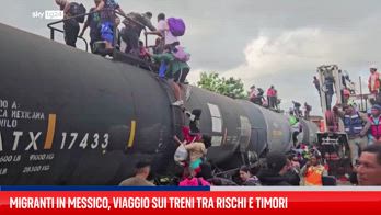 Migranti in Messico, viaggio sui treni tra rischi e timori