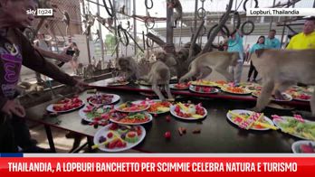 Thailandia, a Lopburi banchetto per scimmie celebra natura e turismo