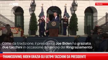 Thanksgiving, Biden 'grazia' due tacchini alla Casa Bianca