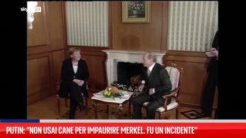 Putin si scusa con Angela Merkel: "Non volevo spaventarla con il mio cane"