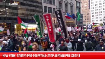 Corteo pro palestina a NY