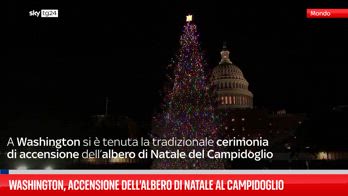 Washington, accensione dell'albero di Natale al Campidoglio