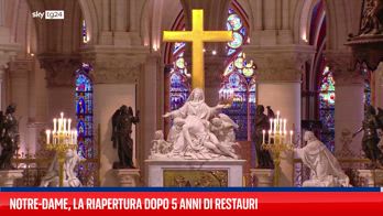 Cinque anni di lavori hanno riportato Notre-Dame al suo splendore