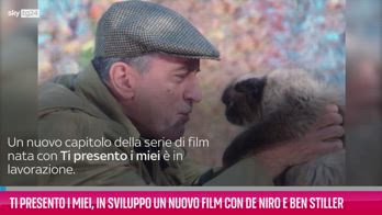 VIDEO Ti presento i miei, sequel con De Niro e Ben Stiller