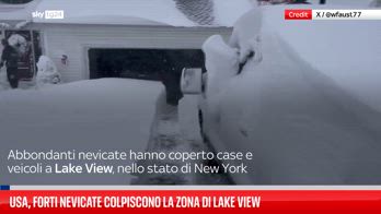 Usa, forti nevicate colpiscono la zona residenziale di Lake View