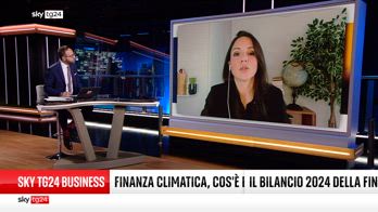 Finanza climatica, il bilancio del 2024