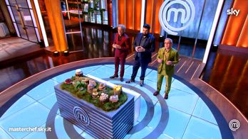 MasterChef 14, Invention Test con ingredienti del bosco