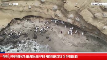 Emergenza nazionale in Perù dopo perdita di petrolio