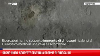 Regno Unito, centinaia di impronte di dinosauri trovate in una cava