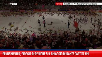 Pennsylvania, 100mila orsacchiotti di peluche sul campo di hockey