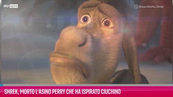 VIDEO Shrek, morto lâasino Perry che ha ispirato Ciuchino