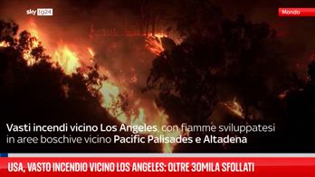 California, incendi boschivi divampano vicino a Los Angeles