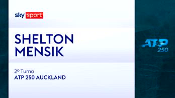 HL SHELTON-MENSiK 2T AUCKLAND_4233142