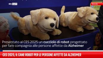 Presentato cucciolo robotico per confortare gli anziani affetti da demenza