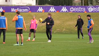 fiorentina-bove-arbitro-viola-park