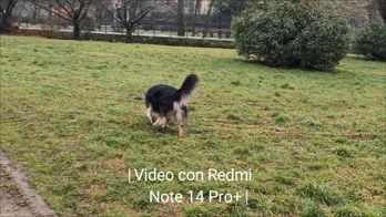 La prova video con Redmi Note 14 Pro+