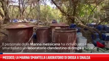 Messico, la Marina smantella laboratorio di droga a Sinaloa