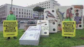 Greenpeace, installazione davanti alla FAO di Roma